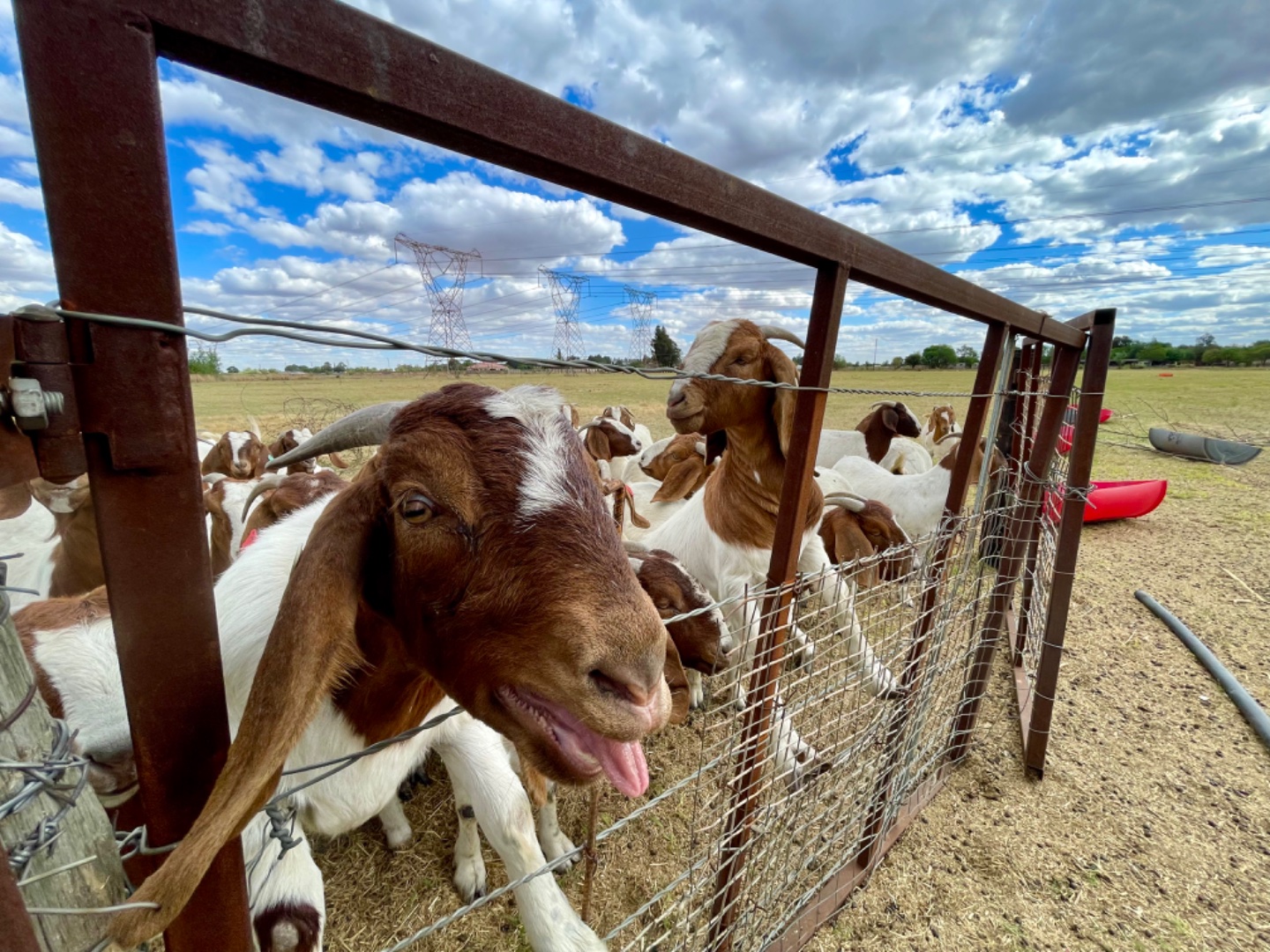 Farm 'n All project photo 1