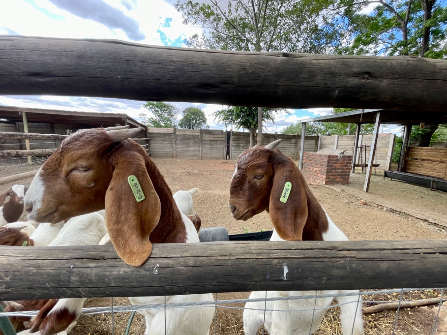 Farm 'n All project photo 2