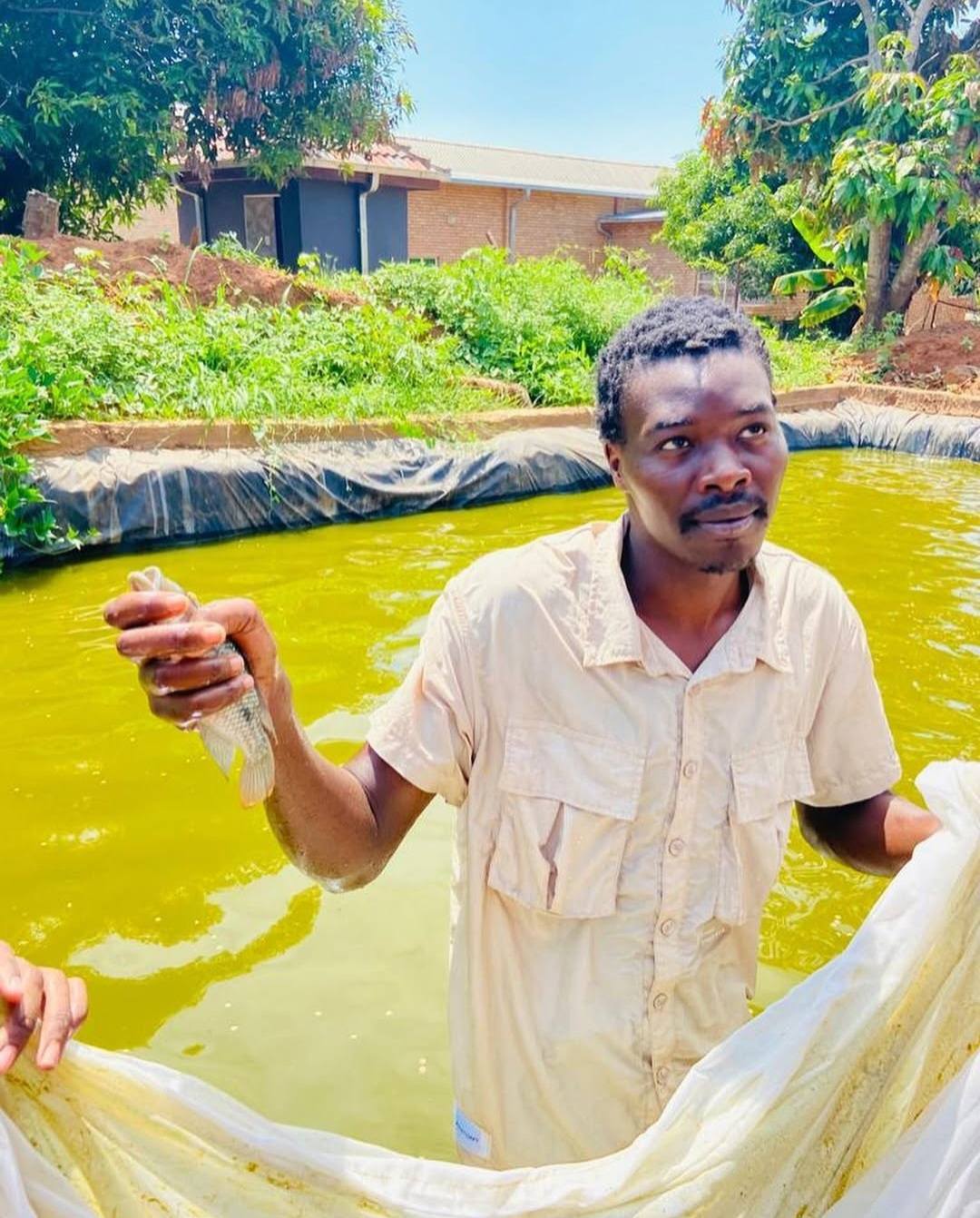 Farm 'n All project photo 3