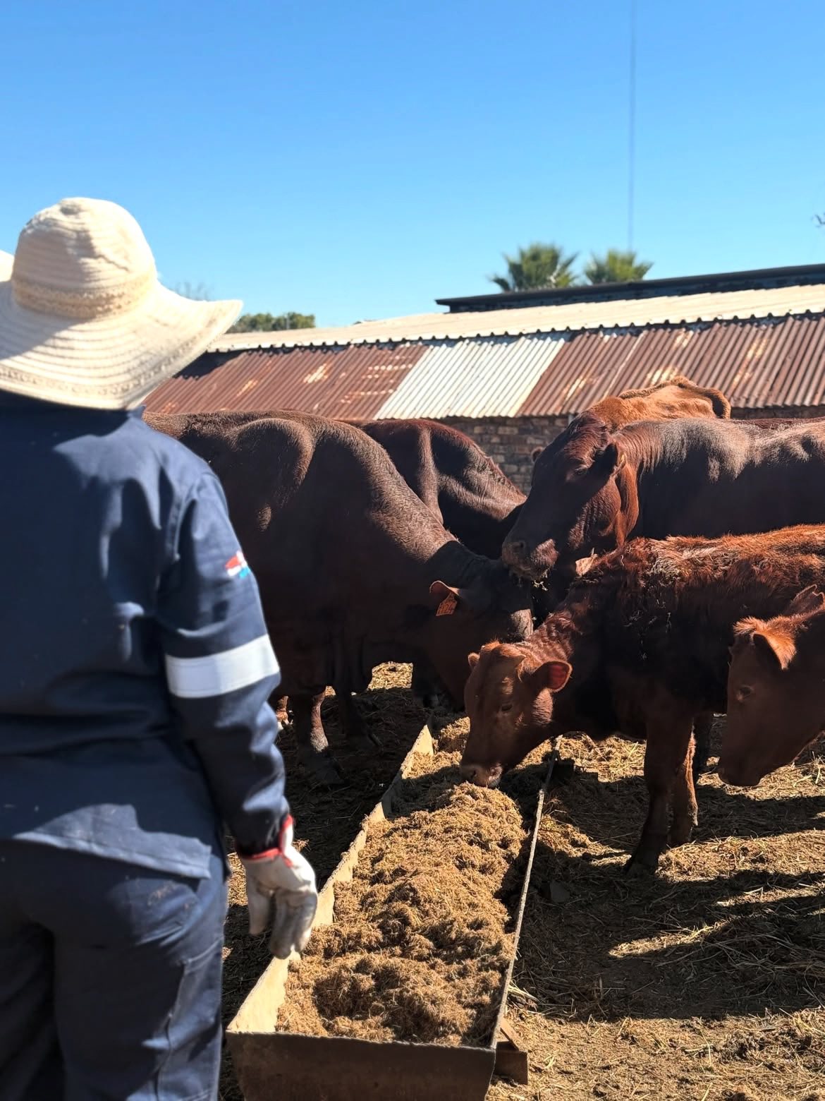 Farm 'n All project photo 4