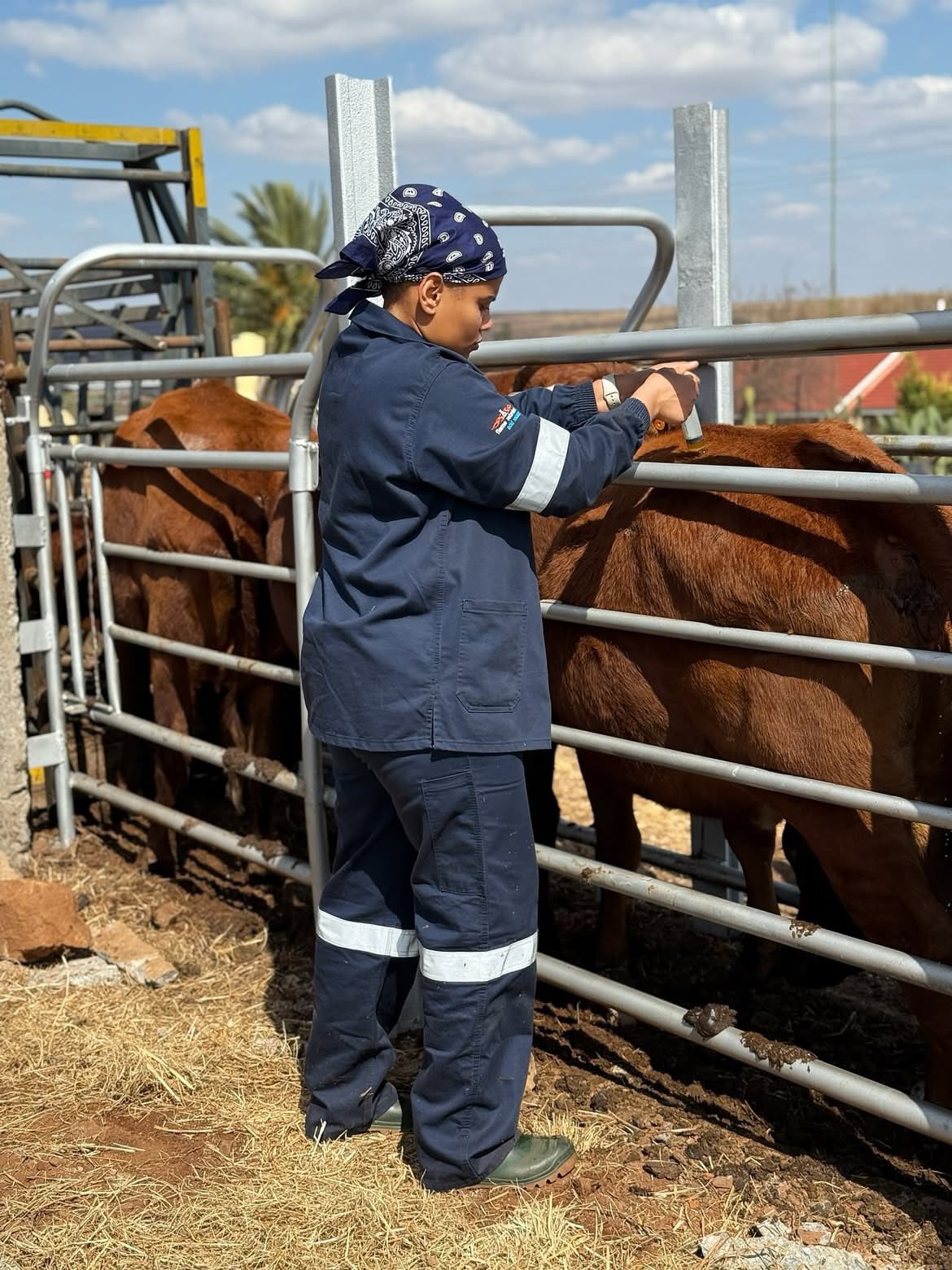 Farm 'n All project photo 5