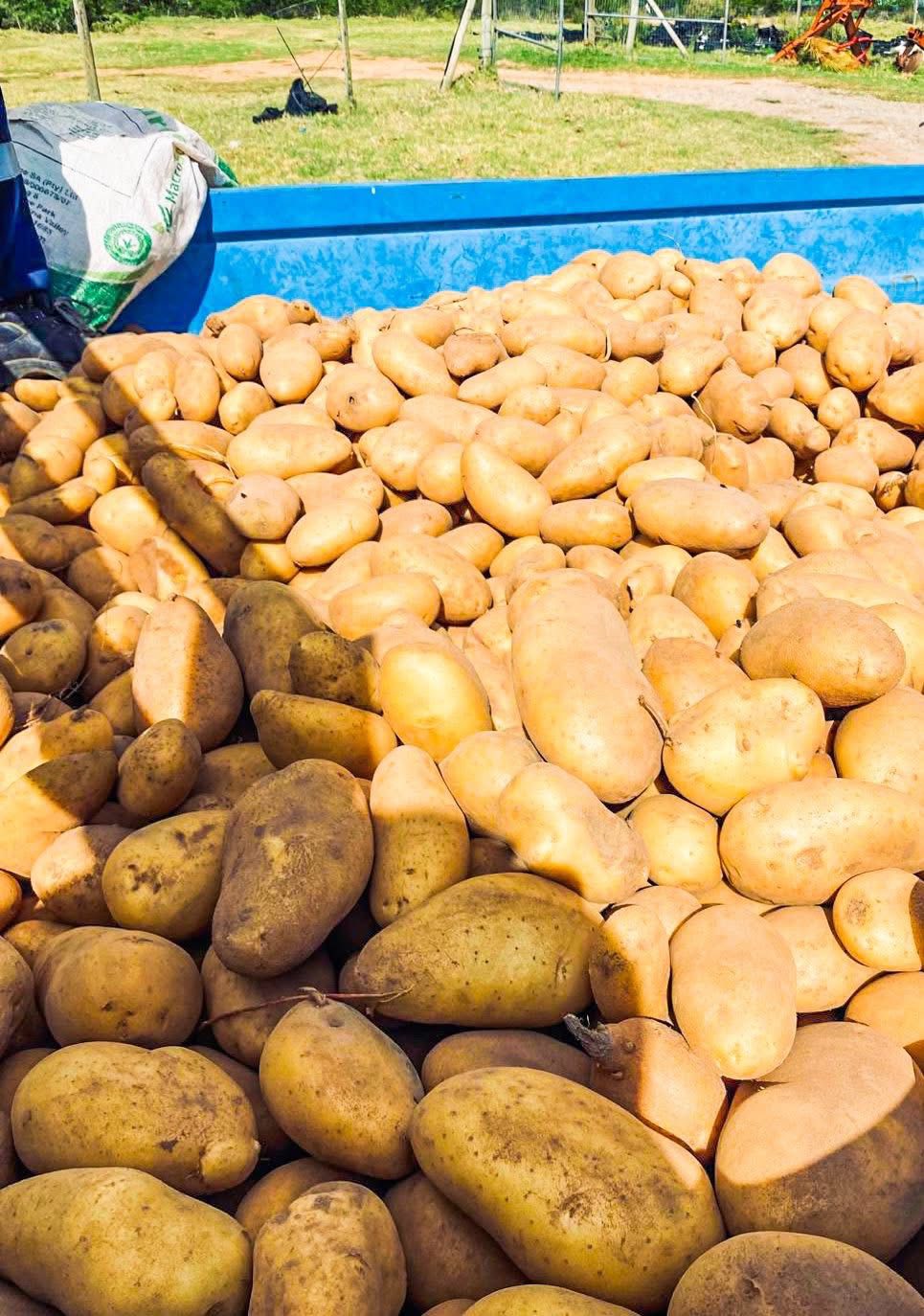 Farm 'n All project photo 7