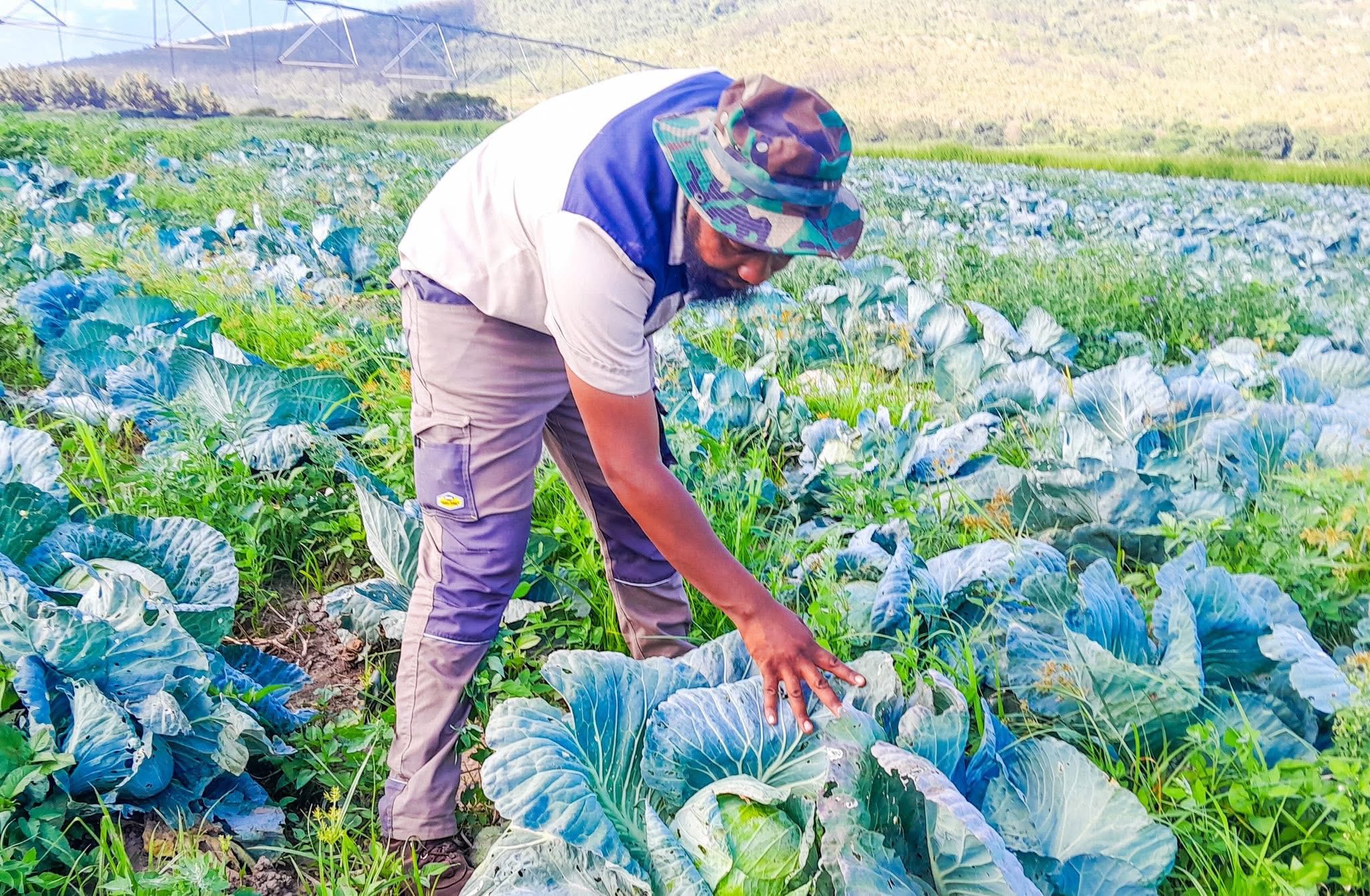 Farm 'n All project photo 8